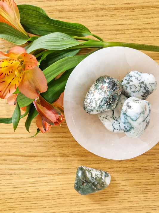 Tree Agate