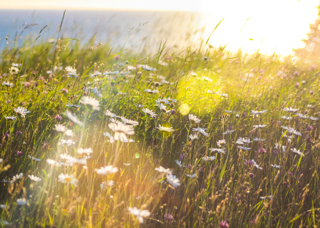 How Lack of Sunlight Affects Your Mood and Sleep—And How to Fix It